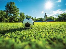 体育爱好者使用场景